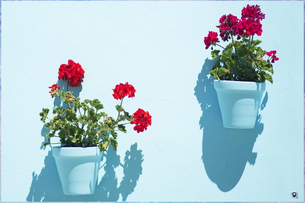 La Calleja de las Flores di Córdoba, Spagna, vasi e fiori colorati