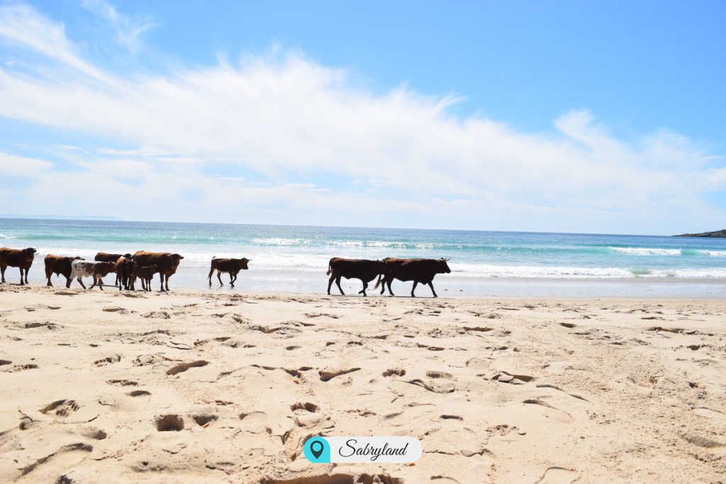 Cosa vedere a Tarifa in un giorno: Playa Bolonia, Tarifa